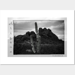 Arizona Polaroid Posters and Art